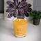 Root Candles 10.5oz. Large Scented Honeycomb Veriglass Jar Candle